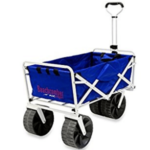 Top 11 Best Beach Carts Review