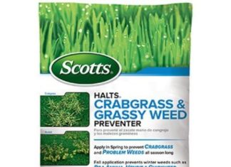 Top 10 Best Crabgrass Killers in 2021