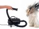 Top 10 Best Dog Hair Dryers Reviews In 2021 Dog Hair Dryers