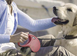 Best Retractable Dog Leash: An Absolute Guide for Buyers! best retractable dog leash