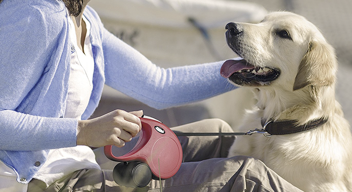 Best Retractable Dog Leash: An Absolute Guide for Buyers! best retractable dog leash