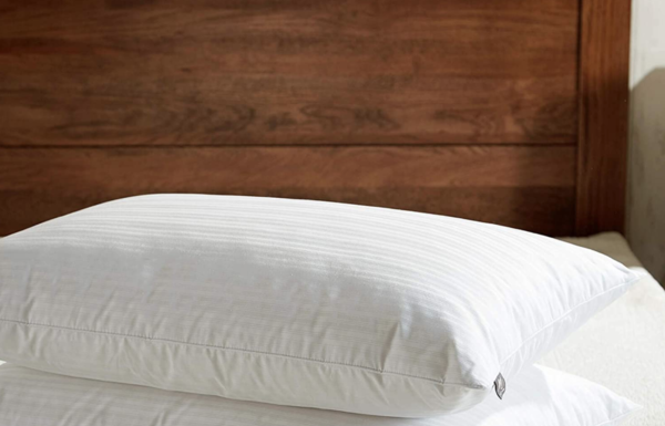 Duck Feather vs Goose Feather Pillow – We Compare The 2 Pillows Duck Feather vs Goose Feather Pillow
