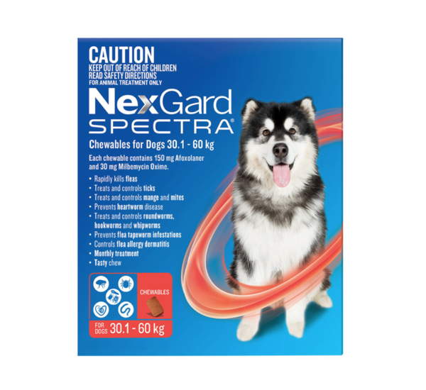 Nexgard Spectra extra large dog 6 pack best price