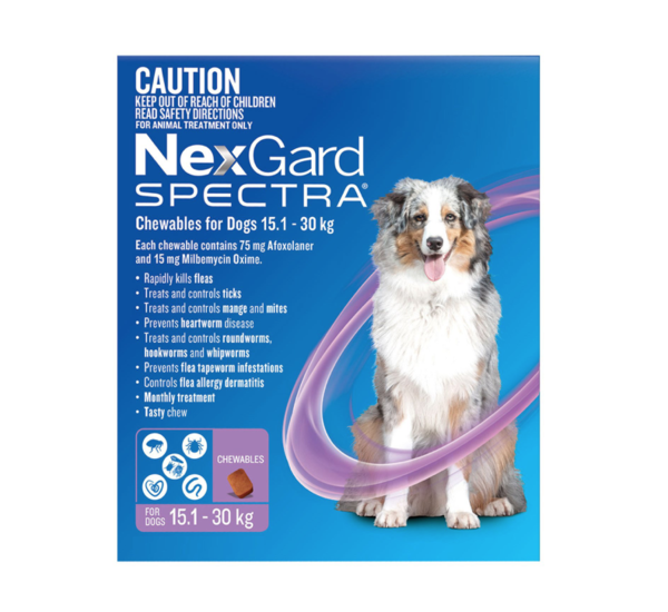 Nexgard Spectra large dog 12 pack