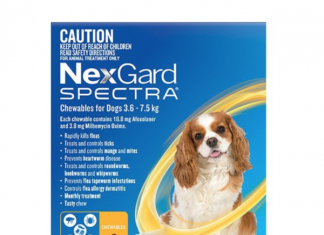 Does Nexgard Have Side Effects? How To Use Nexgard Spectra Correctly. Nexgard Spectra reviews