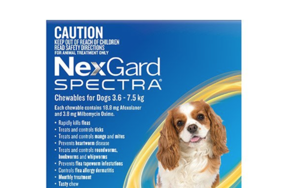 Does Nexgard Have Side Effects? How To Use Nexgard Spectra Correctly. Nexgard Spectra reviews